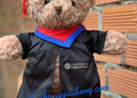 Sản xuất 500 chú gấu bông cho đại học Greenwich Việt Nam 