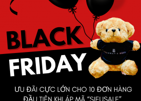 BLACK FRIDAY SALE CỰC SỐC - MUA 10 TẶNG 1