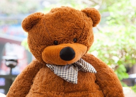 Câu chuyện cảm động về Gầu Bông