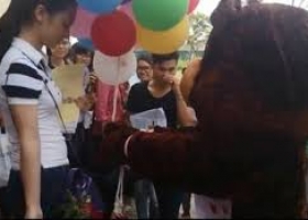Chàng sinh viên hóa thân thành gấu bông tỏ tình bị từ chối