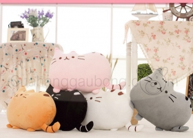 Cửa hàng gấu bông - Bạn biết gì về mèo lười Pusheen?
