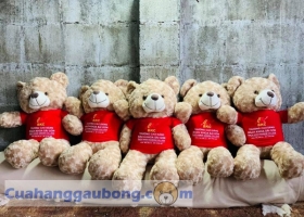 Cách phân biệt gấu bông thật với gấu bông pha-ke - Cửa hàng gấu bông