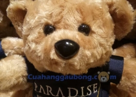 Cửa hàng gấu bông - 1000 gấu bông độc quyền dành cho khách sạn Paradise Saigon