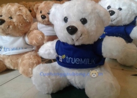 Cửa hàng gấu bông - 3000 Gấu bông độc quyền theo yêu cầu TH True Milk