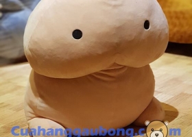 Cửa hàng gấu bông - Đáng yêu cùng Ciu Ciu nhồi bông