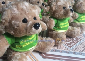 Cửa hàng gấu bông - Cửa hàng gấu bông hợp tác cùng An Nông Group