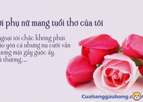 Cửa hàng gấu bông - Bài dự thi NGƯỜI PHỤ NỮ MANG TUỔI THƠ CỦA TÔI