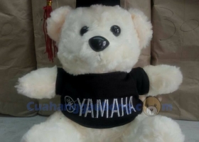 Cửa hàng gấu bông - Gấu bông tốt nghiệp trường Âm nhạc Yamaha Việt Nam