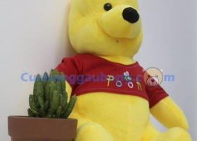 Cửa hàng gấu bông - Gấu Pooh nhồi bông siêu đáng yêu