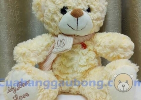 Cửa hàng gấu bông - Gấu bông Teddy Baby Love nhồi bông siêu đáng yêu