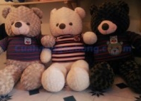 Cửa hàng gấu bông - Gấu Teddy món quà làm nàng bất ngờ ngày 8/3