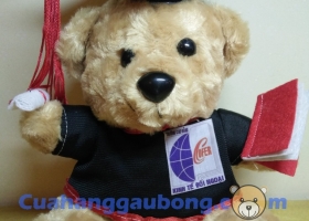 Cửa hàng gấu bông - Tại sao nên tặng gấu bông tốt nghiệp?