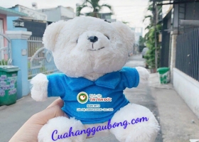 Cửa hàng gấu bông sản xuất 200 chú gấu bông cho bệnh viện tim Tâm Đức