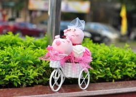 Cửa hàng gấu bông - Tặng quà 8-3 gì cho nàng dưới 200k