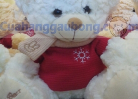 Cửa hàng gấu bông - Teddy MANULIFE