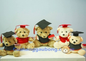 Cửa Hàng Gấu Bông - Quà tặng 20/11 ý nghĩa