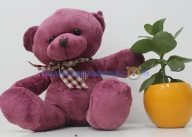 Cửa hàng gấu bông - Sự tích gấu bông Teddy Lavender