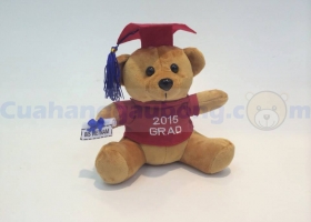 Cửa hàng gấu bông - Gấu bông tốt nghiệp British International School