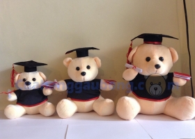 Cửa Hàng Gấu Bông Khuyến Mãi Cực SỐC Mùa Tốt Nghiệp