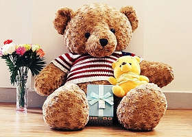 Cửa hàng gấu bông - Chuyện về 365 con gấu bông biết nói I Love You
