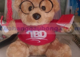 Cửa hàng gấu bông - Hợp tác cùng Trung tâm Anh Ngữ Quốc Tế Thái Bình Dương 