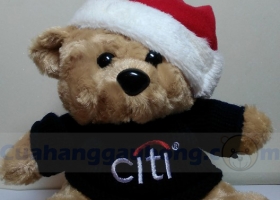 Cửa hàng gấu bông - Teddy Citybank