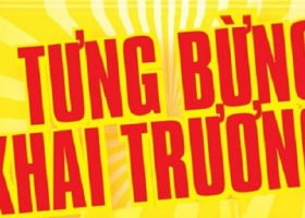 Cửa hàng gấu bông-Lễ hội khuyến mãi tưng bừng khai trương cửa hàng gấu bông chi nhánh Tân Bình
