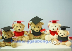 Ý Nghĩa Đặc Biệt Từ Những Món Qùa Tặng Gấu Bông