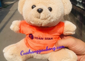 Cửa hàng gấu bông sản xuất 500 bé gấu bông đầy tri thức theo yêu cầu của trung tâm Toán Titan