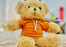 Những bé teddy dáng yêu theo yêu cầu hàng xuất khẩu 