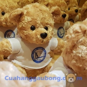 Gấu bông theo yêu cầu đại học y dược