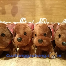 CHÓ NÂU HR2B ĐÃ CÓ MẶT TẠI CỬA HÀNG GẤU BÔNG 