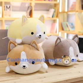 CORGI CHÚ CHÓ SIÊU ĐÁNG YÊU CỦA THẾ GIỚI ĐÃ CÓ MẶT TẠI CUAHANGGAUBONG.COM