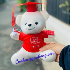 Cửa hàng gấu bông sản xuất 200 gấu bông theo yêu cầu cho Trường Mẫu Giáo Mũi Né