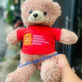 Sản xuất gấu bông VIETNAM AUSTRALIA INTERNATIONAL SCHOOL 