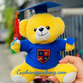 Sản xuất gấu bông theo yêu cầu Cao đẳng Nova 