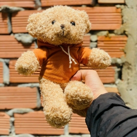 Bé gấu bông mặc áo hoodie sành điệu