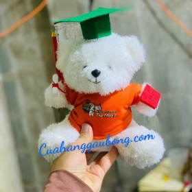 Chú gấu giỏi toán của nhà hệ thống toán tư duy The Magic