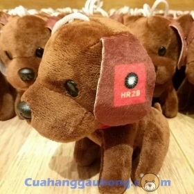 Chó bông móc khóa theo yêu cầu cho doanh nghiệp HR2B