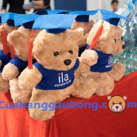 Gấu bông theo yêu cầu ILA 