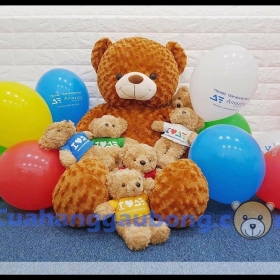 500 Gấu bông độc quyền theo yêu cầu Amazing English 
