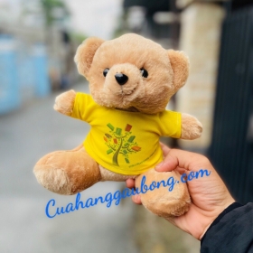 Gấu bông CLB Sinh Viên Tình Nguyện TP.HCM trao gởi những tấm lòng vàng