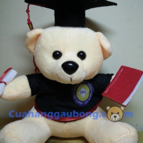 Gấu Bông Tốt Nghiệp CĐ Tài Chính Hải Quan