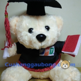 Gấu Bông Tốt Nghiệp ĐH FPT