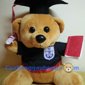 Gấu bông tốt nghiệp đh Giao thông vận tải