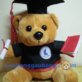 Gấu bông tốt nghiệp đh Khoa Học Tự Nhiên