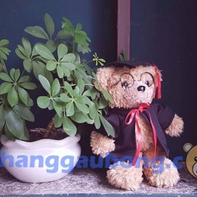 Gấu bông tốt nghiệp Dr Grad 189k