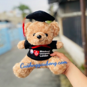 Gấu bông tốt nghiệp Đại Học Middlesex London và Học Viện Báo Chí