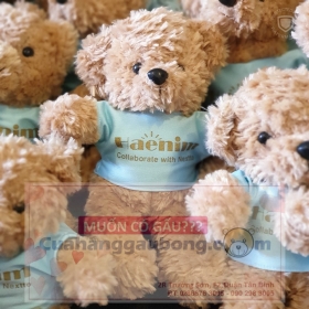 500c GẤU HAENIM được làm tại CỬA HÀNG GẤU BÔNG